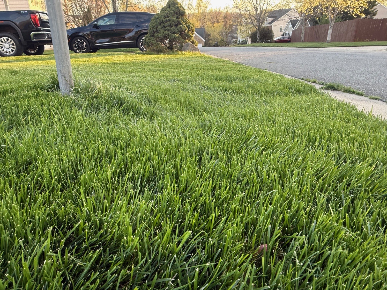 After, up close: the density is real